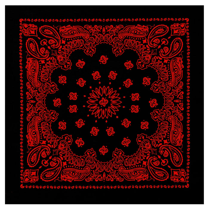 Trainmen Paisley Bandana - 22" X 22" - Black / Red by Rothco