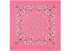 Trainmen Paisley Bandanas - 13 Colors To Choose From - Legendary USA