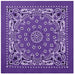 Trainmen Paisley Bandanas - 13 Colors To Choose From - Legendary USA