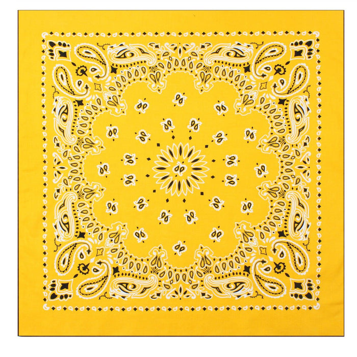 Trainmen Paisley Bandanas - 13 Colors To Choose From - Legendary USA