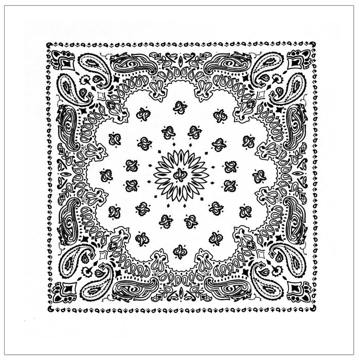 Trainmen Paisley Bandanas - 13 Colors To Choose From - Legendary USA